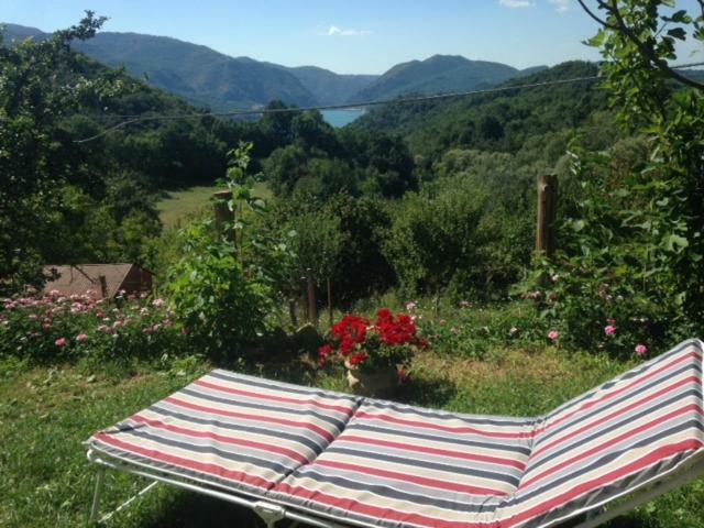 Agriturismo I Due Regni Petrella Salto Esterno foto
